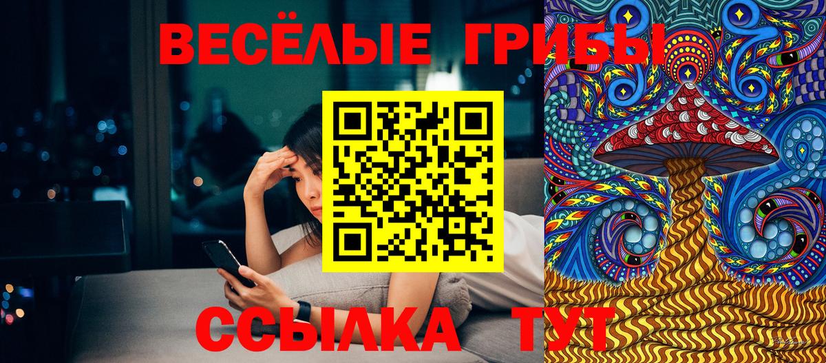 Галлюциногенные грибы мухоморы  Псилоцибиновые грибы ЛСД  Вход с VPN  Моздок 